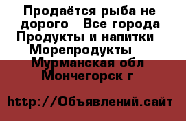 Продаётся рыба не дорого - Все города Продукты и напитки » Морепродукты   . Мурманская обл.,Мончегорск г.